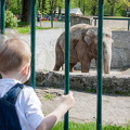 Калининградский зоопарк